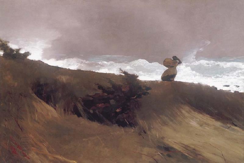 Winslow Homer The West Wind